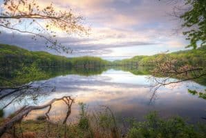 Happy Thanksgiving from Michael’s Homes